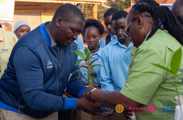 Rotarians handing tree seedlings to students for planting